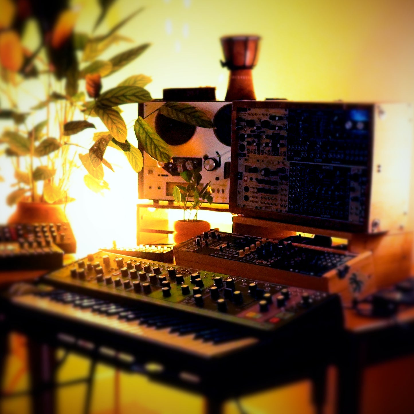 Analog Modular Drum Samples