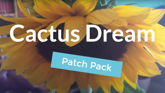 Cactus Dream Presets - Prophet 6